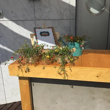 호텔 Hotel Praia 나자레